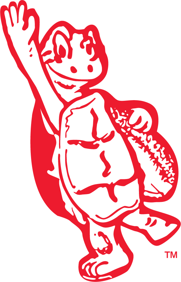 Maryland Terrapins 1951-1954 Secondary Logo DIY iron on transfer (heat transfer)